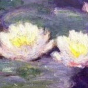 Meet your Posher, Carmen